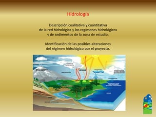 Descripción cualitativa y cuantitativa 
de la red hidrológica y los regímenes hidrológicos 
y de sedimentos de la zona de estudio. 
Identificación de las posibles alteraciones 
del régimen hidrológico por el proyecto. 
Hidrología  