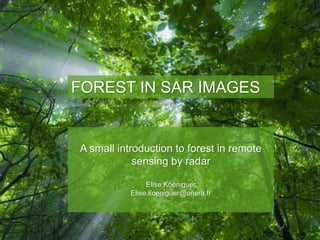 12/10/2015 1/47
FOREST IN SAR IMAGES
A small introduction to forest in remote
sensing by radar
Elise Koeniguer
Elise.koeniguer@onera.fr
 