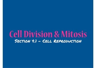 Cell Division & Mitosis
 Section 4.1 - Cell Reproduction
 