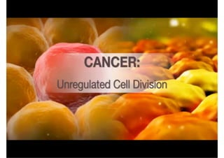 Cell Division and Mitosis (4.1) 