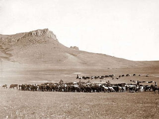 4.1 Miners and cowboys in the west | PPTX