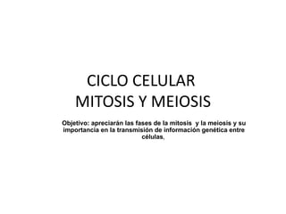 CICLO CELULAR  MITOSIS Y MEIOSIS Objetivo:  apreciarán las fases de la mitosis  y la meiosis y su importancia en la transmisión de información genética entre células ,  