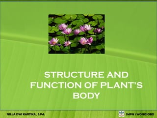 STRUCTURE AND
               FUNCTION OF PLANT’S
                      BODY
NILLA DWI KARTIKA , S.Pd.      SMPN 1 WONOSOBO
 
