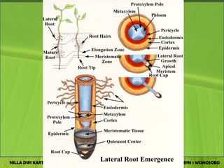 NILLA DWI KARTIKA , S.Pd.   SMPN 1 WONOSOBO
 