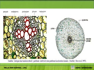 NILLA DWI KARTIKA , S.Pd.   SMPN 1 WONOSOBO
 