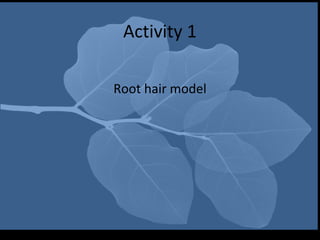 Activity 1

Root hair model
 