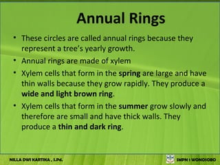 Annual Rings
 • These circles are called annual rings because they
   represent a tree’s yearly growth.
 • Annual rings are made of xylem
 • Xylem cells that form in the spring are large and have
   thin walls because they grow rapidly. They produce a
   wide and light brown ring.
 • Xylem cells that form in the summer grow slowly and
   therefore are small and have thick walls. They
   produce a thin and dark ring.


NILLA DWI KARTIKA , S.Pd.                       SMPN 1 WONOSOBO
 