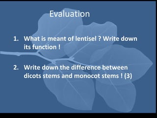 Evaluation

1. What is meant of lentisel ? Write down
   its function !

2. Write down the difference between
   dicots stems and monocot stems ! (3)
 