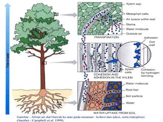 NILLA DWI KARTIKA , S.Pd.   SMPN 1 WONOSOBO
 