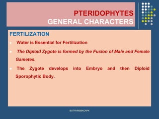 PTERIDOPHYTES
GENERAL CHARACTERS
FERTILIZATION
⚫ Water is Essential for Fertilization
⚫ The Diploid Zygote is formed by the Fusion of Male and Female
Gametes.
⚫ The Zygote develops into Embryo and then Diploid
Sporophytic Body.
BOTRVMSBKCAPK
 