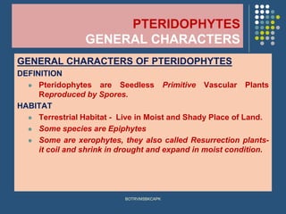 PTERIDOPHYTES
GENERAL CHARACTERS
GENERAL CHARACTERS OF PTERIDOPHYTES
DEFINITION
⚫ Pteridophytes are Seedless Primitive Vascular Plants
Reproduced by Spores.
HABITAT
⚫ Terrestrial Habitat - Live in Moist and Shady Place of Land.
⚫ Some species are Epiphytes
⚫ Some are xerophytes, they also called Resurrection plants-
it coil and shrink in drought and expand in moist condition.
BOTRVMSBKCAPK
 