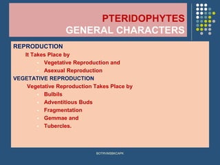PTERIDOPHYTES
GENERAL CHARACTERS
REPRODUCTION
It Takes Place by
▪ Vegetative Reproduction and
▪ Asexual Reproduction
VEGETATIVE REPRODUCTION
Vegetative Reproduction Takes Place by
▪ Bulbils
▪ Adventitious Buds
▪ Fragmentation
▪ Gemmae and
▪ Tubercles.
BOTRVMSBKCAPK
 