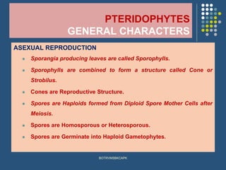 PTERIDOPHYTES
GENERAL CHARACTERS
ASEXUAL REPRODUCTION
⚫ Sporangia producing leaves are called Sporophylls.
⚫ Sporophylls are combined to form a structure called Cone or
Strobilus.
⚫ Cones are Reproductive Structure.
⚫ Spores are Haploids formed from Diploid Spore Mother Cells after
Meiosis.
⚫ Spores are Homosporous or Heterosporous.
⚫ Spores are Germinate into Haploid Gametophytes.
BOTRVMSBKCAPK
 