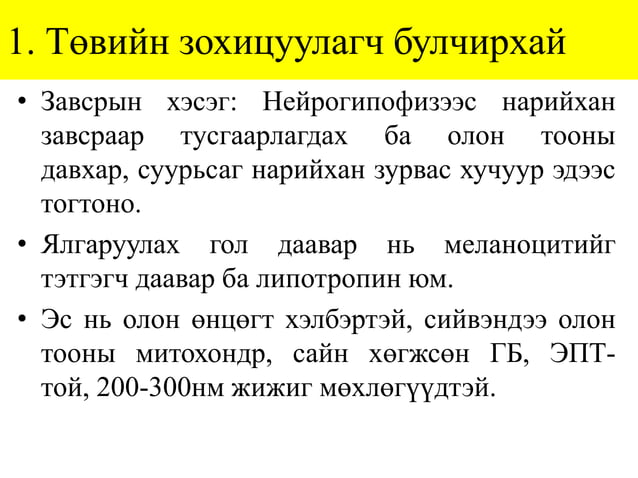 Лекц №4-2. Дотоод шүүрлийн эрхтний гистологи
