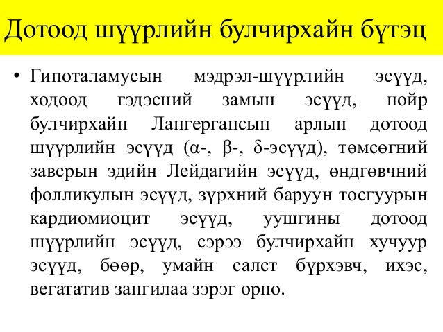 Лекц №4-2. Дотоод шүүрлийн эрхтний гистологи