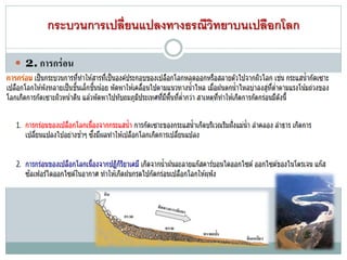 กระบวนการเปลี่ยนแปลงทางธรณีวิทยาบนเปลือกโลก
 2. การกร่อน
 