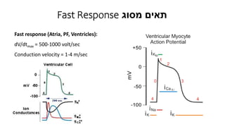 תרגול 4 - לב 2.pptx