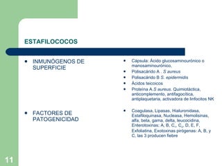 ESTAFILOCOCOS INMUNÓGENOS DE SUPERFICIE FACTORES DE PATOGENICIDAD Cápsula: Ácido glucosaminourónico o manosaminourónico,  Polisacárido A .  S aureus Polisacárido B  S. epidermidis Ácidos teicoicos Proteína A. S aureus . Quimiotáctica, anticomplemento, antifagocítica, antiplaquetaria, activadora de linfocitos NK Coagulasa, Lipasas, Hialuronidasa, Estafiloquinasa, Nucleasa, Hemolisinas, alfa, beta, gama, delta, leucocidina, Enterotoxinas; A, B, C 1 , C 2 , D, E, F, Exfoliatina, Exotoxinas pirógenas: A, B, y C, las 3 producen fiebre  