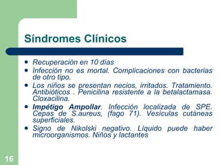 Síndromes Clínicos Recuperación en 10 días Infección no es mortal. Complicaciones con bacterias de otro tipo. Los niños se presentan necios, irritados. Tratamiento. Antibióticos . Penicilina resistente a la betalactamasa. Cloxacilina.  Impétigo Ampollar . Infección localizada de SPE. Cepas de S.aureus,   (fago 71). Vesículas cutáneas superficiales.  Signo de Nikolski negativo. Líquido puede haber microorganismos. Niños y lactantes 