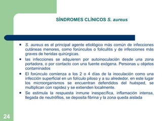 SÍNDROMES CLÍNICOS  S. aureus S. aureus  es el principal agente etiológico más común de infecciones cutáneas menores, como forúnculos o foliculitis y de infecciones más graves de heridas quirúrgicas. las infecciones se adquieren por autoinoculación desde una zona portadora, o por contacto con una fuente exógena. Personas u objetos contaminados El forúnculo comienza a los 2 o 4 días de la inoculación como una infección superficial en un folículo piloso y a su alrededor. en este lugar los microorganismos se encuentran defendidos del huésped, se multiplican con rapidez y se extienden localmente. Se estimula la respuesta inmune inespecífica, inflamación intensa, llegada de neutrófilos, se deposita fibrina y la zona queda aislada 