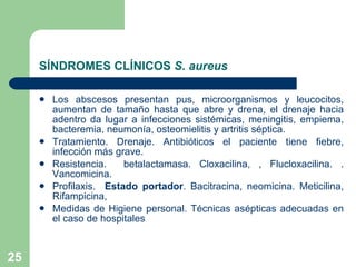SÍNDROMES CLÍNICOS  S. aureus Los abscesos presentan pus, microorganismos y leucocitos, aumentan de tamaño hasta que abre y drena, el drenaje hacia adentro da lugar a infecciones sistémicas, meningitis, empiema, bacteremia, neumonía, osteomielitis y artritis séptica. Tratamiento. Drenaje. Antibióticos el paciente tiene fiebre, infección más grave.  Resistencia.  betalactamasa. Cloxacilina, , Flucloxacilina. . Vancomicina.  Profilaxis.  Estado portador . Bacitracina, neomicina. Meticilina, Rifampicina,  Medidas de Higiene personal. Técnicas asépticas adecuadas en el caso de hospitales 