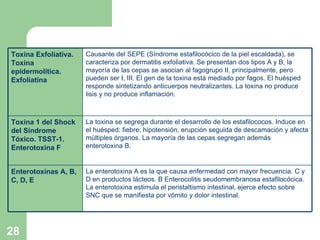 La enterotoxina A es la que causa enfermedad con mayor frecuencia. C y D en productos lácteos. B Enterocolitis seudomembranosa estafilocócica. La enterotoxina estimula el peristaltismo intestinal, ejerce efecto sobre SNC que se manifiesta por vómito y dolor intestinal. Enterotoxinas A, B, C, D, E La toxina se segrega durante el desarrollo de los estafilococos. Induce en el huésped: fiebre, hipotensión, erupción seguida de descamación y afecta múltiples órganos. La mayoría de las cepas segregan además enterotoxina B. Toxina 1 del Shock del Síndrome Tóxico. TSST-1. Enterotoxina F Causante del SEPE (Síndrome estafilocócico de la piel escaldada), se caracteriza por dermatitis exfoliativa. Se presentan dos tipos A y B, la mayoría de las cepas se asocian al fagogrupo II, principalmente, pero pueden ser I, III. El gen de la toxina está mediado por fagos. El huésped responde sintetizando anticuerpos neutralizantes. La toxina no produce lisis y no produce inflamación. Toxina Exfoliativa. Toxina epidermolítica. Exfoliatina 