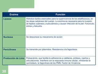 Polisacárido, que facilita la adherencia a catéteres, prótesis, injertos y articulaciones. Interfiere con la respuesta inmune celular, inhibiendo la quimiotáxis, la fagocitosis de los PMN, Factor de Virulencia. Producción de Limo Se transmite por plásmidos. Resistencia a la fagocitosis Penicilinasa Se desconoce su mecanismo de acción Nucleasa Hidroliza lípidos esenciales para la supervivencia de los estafilococos, en las áreas sebáceas del cuerpo. La enzima es necesaria para la invasión de tejidos cutáneos y subcutáneos y causar infección de la piel. Forúnculo, ántrax y foliculitis Lipasas Función Enzima 