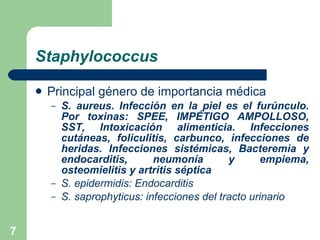 Staphylococcus Principal género de importancia médica S. aureus. Infección en la piel es el furúnculo. Por toxinas: SPEE, IMPÉTIGO AMPOLLOSO, SST, Intoxicación alimenticia. Infecciones cutáneas, foliculitis, carbunco, infecciones de heridas. Infecciones sistémicas, Bacteremia y endocarditis, neumonía y empiema, osteomielitis y artritis séptica S. epidermidis: Endocarditis S. saprophyticus: infecciones del tracto urinario 
