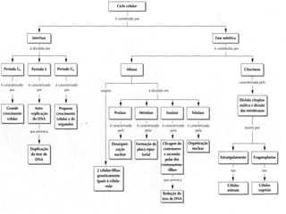 Nuno Correia 2012/13
 