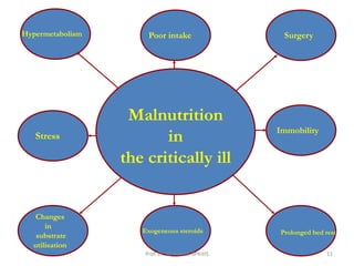 4. nutrition support to critically ill in icu | PDF