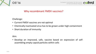 OS16
Why recombinant FMDV vaccines?
Challenge:
• Current FMDV vaccines are not optimal
• Chemically inactivated virus has ...