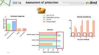 OS16	
Assessment of protection
Immune	response	
viremia	
Clinical	symptoms	
 