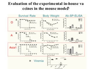 Evaluation of the experimental in-house va
ccines in the mouse model
 