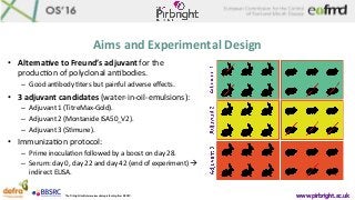 Aims	and	Experimental	Design	
•  Alterna2ve	to	Freund’s	adjuvant	for	the	
producBon	of	polyclonal	anBbodies.	
–  Good	anBb...