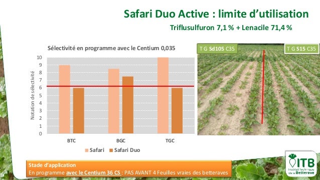 Comité technique 80 2020 4 Évolutions en désherbage