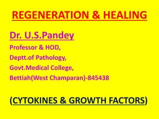 REGENERATION & HEALING
Dr. U.S.Pandey
Professor & HOD,
Deptt.of Pathology,
Govt.Medical College,
Bettiah(West Champaran)-845438
(CYTOKINES & GROWTH FACTORS)
 