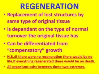 REGENERATION
• Replacement of lost structures by
same type of original tissue
• Is dependent on the type of normal
turnover the original tissue has
• Can be differentiated from
“compensatory” growth
• N.B.:If there were no regeneration there would be no
life.If everything regenerated there would be no death.
• All organisms exist between these two extremes.
 