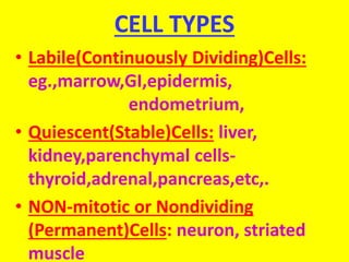 CELL TYPES
• Labile(Continuously Dividing)Cells:
eg.,marrow,GI,epidermis,
endometrium,
• Quiescent(Stable)Cells: liver,
kidney,parenchymal cells-
thyroid,adrenal,pancreas,etc,.
• NON-mitotic or Nondividing
(Permanent)Cells: neuron, striated
muscle
 