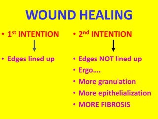 WOUND HEALING
• 1st INTENTION
• Edges lined up
• 2nd INTENTION
• Edges NOT lined up
• Ergo….
• More granulation
• More epithelialization
• MORE FIBROSIS
 