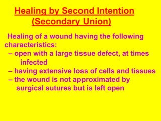 Healing by Second Intention
(Secondary Union)
Healing of a wound having the following
characteristics:
– open with a large tissue defect, at times
infected
– having extensive loss of cells and tissues
– the wound is not approximated by
surgical sutures but is left open
 