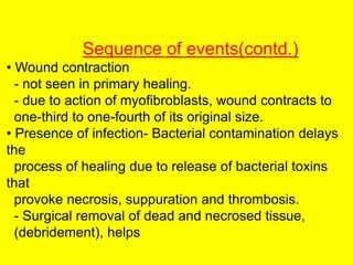 Sequence of events(contd.)
• Wound contraction
- not seen in primary healing.
- due to action of myofibroblasts, wound contracts to
one-third to one-fourth of its original size.
• Presence of infection- Bacterial contamination delays
the
process of healing due to release of bacterial toxins
that
provoke necrosis, suppuration and thrombosis.
- Surgical removal of dead and necrosed tissue,
(debridement), helps
 