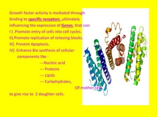 Growth factor activity is mediated through
binding to specific receptors ,ultimately
influencing the expression of Genes, that can:
I ) .Promote entry of cells into cell cycles.
II).Promote replication of relieving blocks.
III). Prevent Apoptosis.
IV). Enhance Bio synthesis of cellular-
components like :
---Nucleic acid
--- Proteins
--- Lipids
--- Carbohydrates,
:Of mother cells
to give rise to 2 daughter cells.
 
