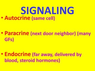 SIGNALING• Autocrine (same cell)
• Paracrine (next door neighbor) (many
GFs)
• Endocrine (far away, delivered by
blood, steroid hormones)
 