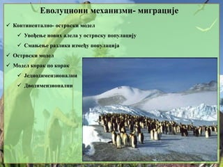 Еволуциони механизми- миграције
 Континентално- острвски модел
 Увођење нових алела у острвску популацију
 Смањење разлика између популација
 Острвски модел
 Модел корак по корак
 Једнодимензионални
 Дводимензионални
 