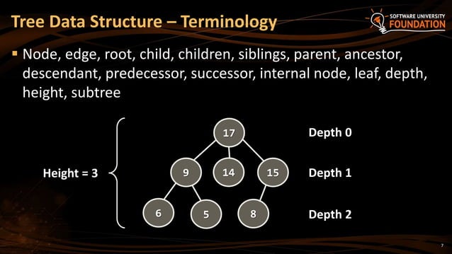 17. Trees and Tree Like Structures