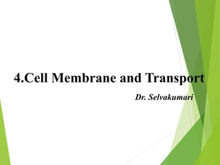 4.Cell Membrane and Transport
Dr. Selvakumari
 