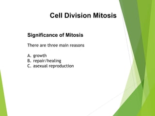 Cell Division Mitosis
Significance of Mitosis
There are three main reasons
A. growth
B. repair/healing
C. asexual reproduction
 