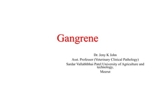 Gangrene
Dr. Jeny K John
Asst. Professor (Veterinary Clinical Pathology)
Sardar Vallabhbhai Patel University of Agriculture and
technology,
Meerut
 