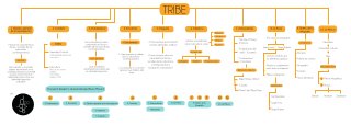 Mapa conceptual Analisis Proyecto de grado TRIBE