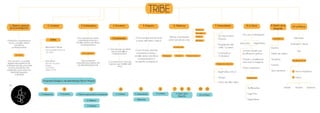 Mapa conceptual- TRIBE